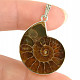 Ammonite pendant Ag 925/1000 6.9g