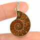 Ammonite pendant Ag 925/1000 6.2g