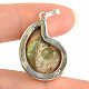 Ammonite pendant Ag 925/1000 6.2g