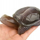 Agate turtle with cavity 297g