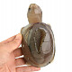 Agate turtle with cavity 543g