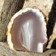 Geode agate with cavity Brazil 225g