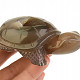 Agate turtle with cavity 239g