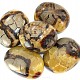 Septarie stones Jumbo (Madagascar)