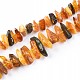 Amber Necklace 80 cm