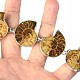 Ammonite bracelet silver Ag 925/1000 45.6 g