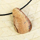 Pendant jaspis picture on cord 8,9g
