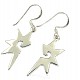 Ag 925/1000 silver earrings typ010