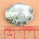 Jaspis oceán mugle ovál (12,8g)