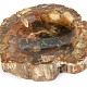 Zkamenělé dřevo miska (Madagaskar) 150mm