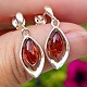 Amber Hanging Earrings Ag 925/1000