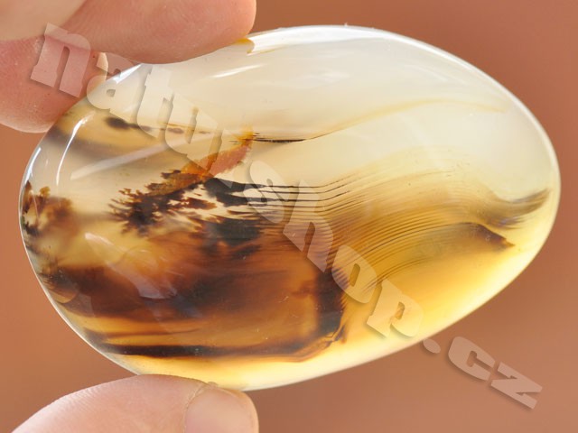 agate with dendrites